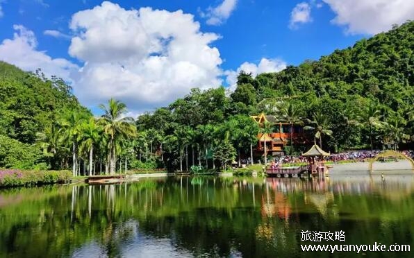 云南西双版纳好玩吗值得去吗，热带雨林景象非常独特(热带风情)