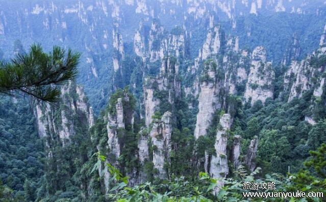 张家界现在可以去了吗，可以去(2022年8月就已经开放了)