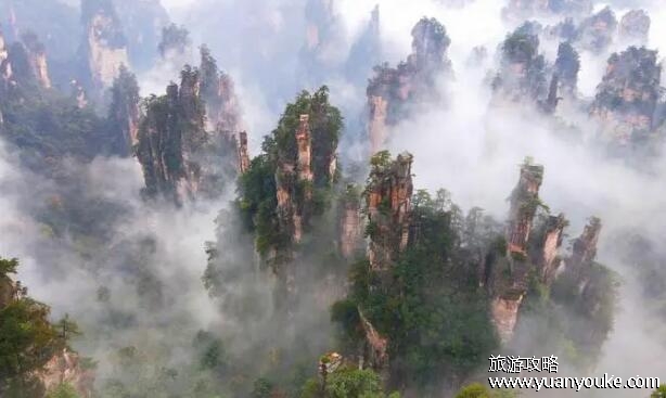 天子山景区在哪里，在湖南省张家界市武陵源区(天然博物馆)
