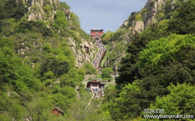泰山门票多少钱一张，一般115元(对部分群体优惠或免费) 