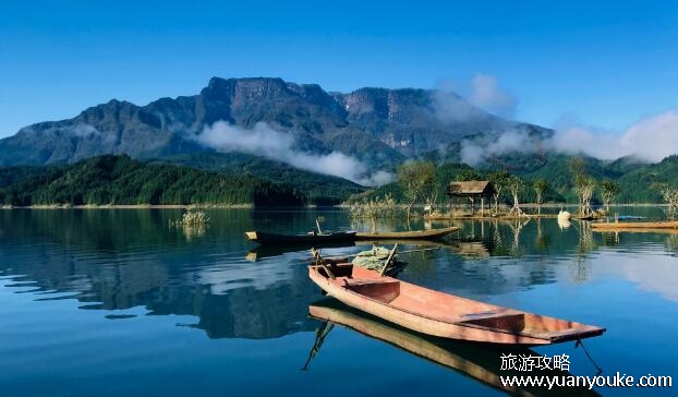 瓦屋山在哪个省哪个市，在四川省眉山市(杜鹃花王国)