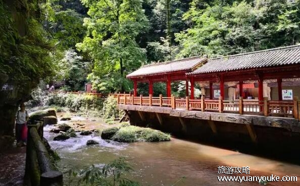 碧峰峡好玩吗值得去吗，动植物种类丰富(大熊猫的故乡)