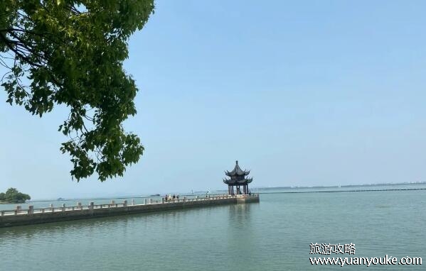 五湖是指哪五湖，鄱阳湖/洞庭湖/太湖/洪泽湖/巢湖