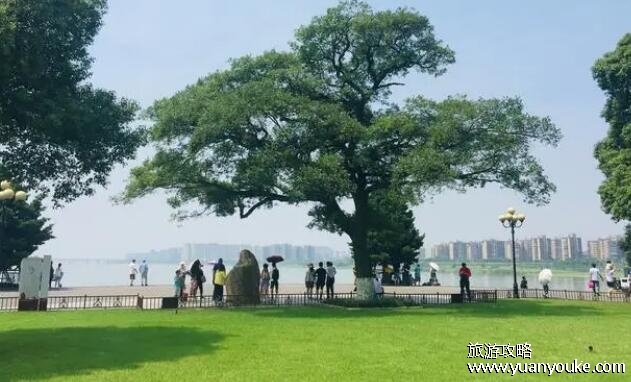 橘子洲头在长沙哪个区，在长沙市岳麓区(是长沙的一个著名景点)