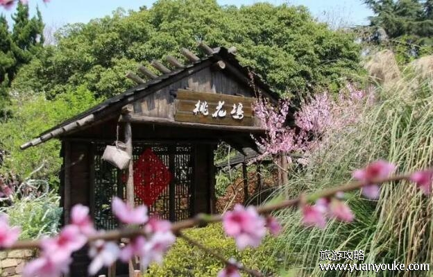 桃花坞在哪个地方，位于江苏省苏州市(中国著名园林之一)