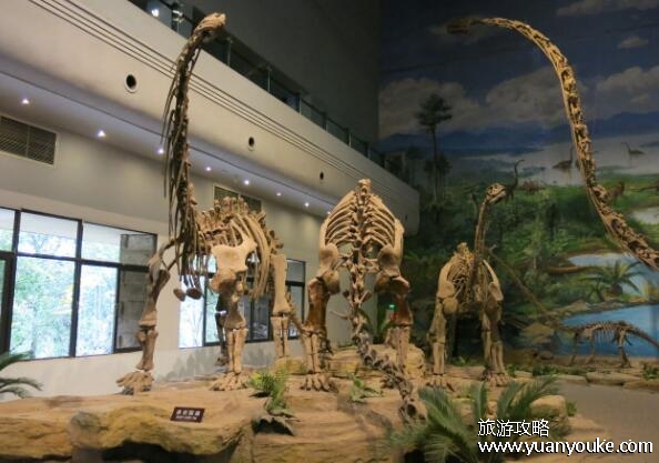 自贡恐龙博物馆门票多少钱一张，全票40元一人(票价十分亲民)