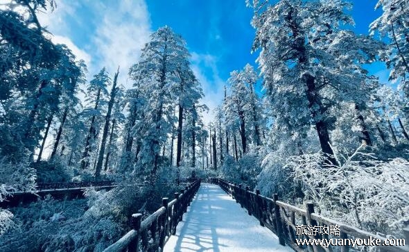 瓦屋山在哪个省哪个市，在四川省眉山市洪雅县(四季都适合旅游)