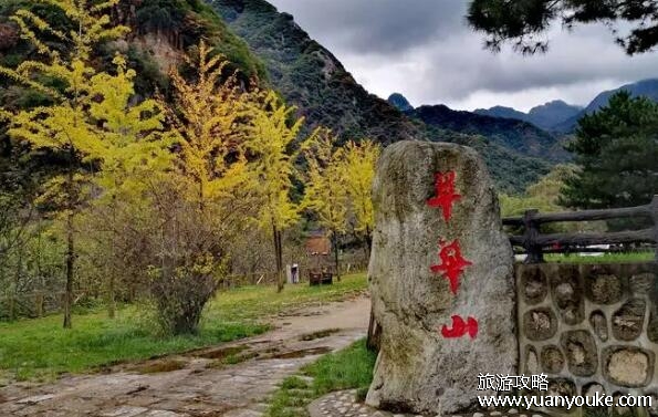 翠华山好玩吗值得去吗，道教名山值得一去(户外活动众多)