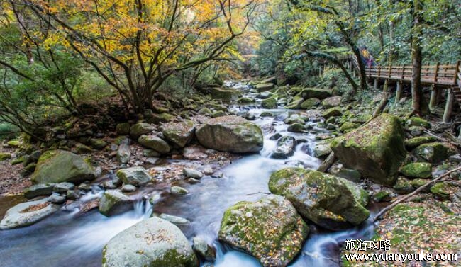 太平国家森林公园门票多少钱，旺季每人60元淡季每人40元