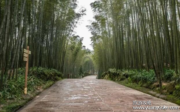 蜀南竹海在四川什么地方，四川省宜宾市(有120平方公里的竹林)