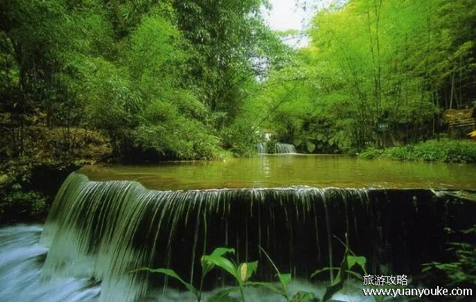 蜀南竹海在四川什么地方，四川省宜宾市(有120平方公里的竹林)