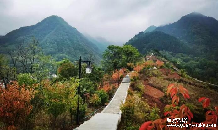 翠屏山好玩吗值得去吗，非常壮观的山岳风景区(刺激有趣的景点)
