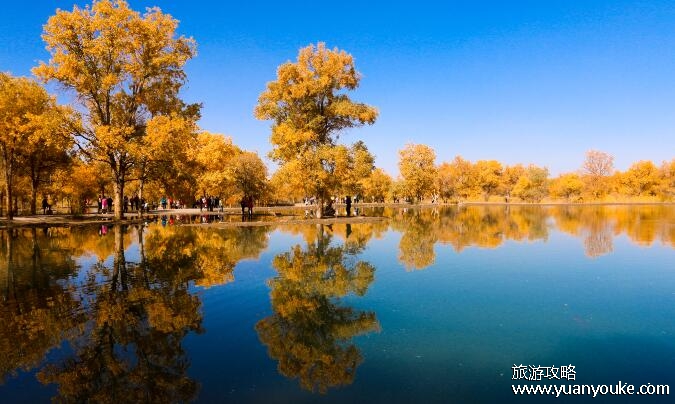 瓜州县属于哪个省市，在甘肃省酒泉市(自然景观壮丽的特色景点)