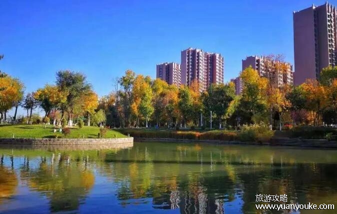 石河子属于哪个省哪个市，在新疆维族自治区北部(最美军垦城市)