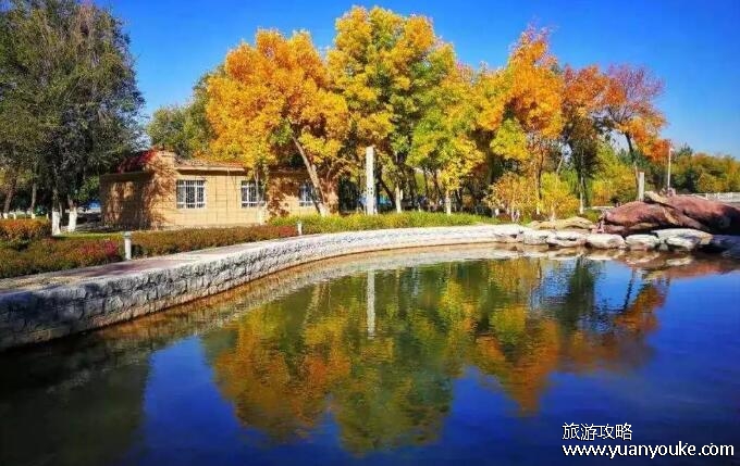 石河子属于哪个省哪个市，在新疆维族自治区北部(最美军垦城市)
