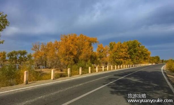 塔里木沙漠公路风景美吗，很适合自驾游(沙漠中的绿色通道)