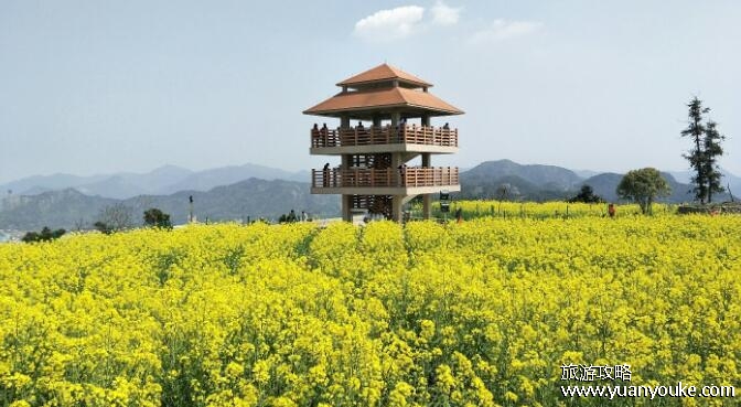 温岭市属于哪个市，属于浙江省台州市(拥有独特的火山地貌景色)
