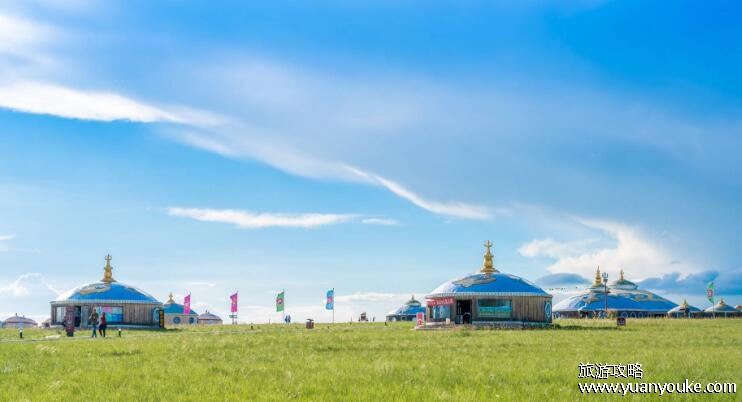 中国四大草原是哪4个，四大草原介绍(青藏高原大草原海拔最高)