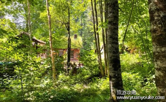 东三省旅游景点，4个景点值得一去(避暑就来长白山)
