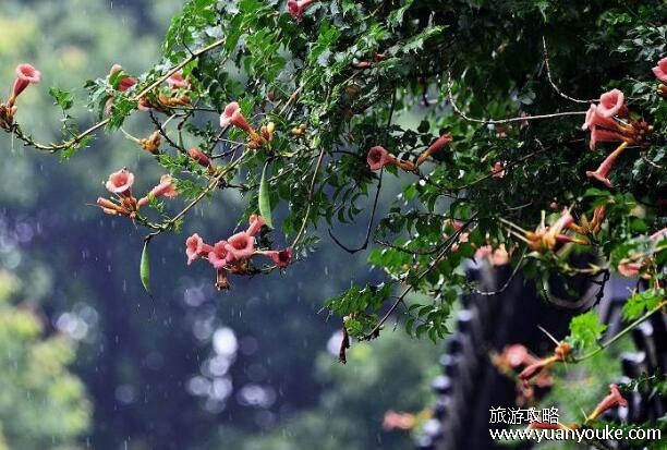 梅雨季节是什么时间，每年6月到7月左右的时间(物品容易发霉)
