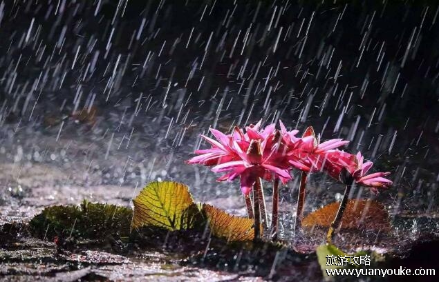 梅雨季节是什么时间，每年6月到7月左右的时间(物品容易发霉)