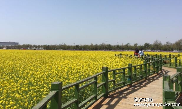 天津旅游必去十大景点，瓷房子最具特色(使用9千多件瓷器装饰)