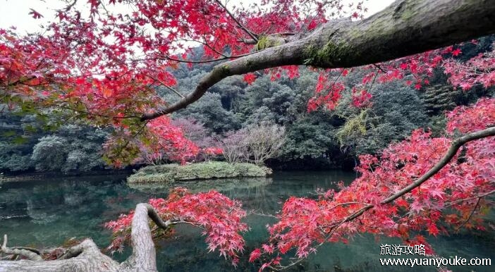 杭州旅游攻略必去景点推荐，4大景点最值得一游(西湖景色最美)