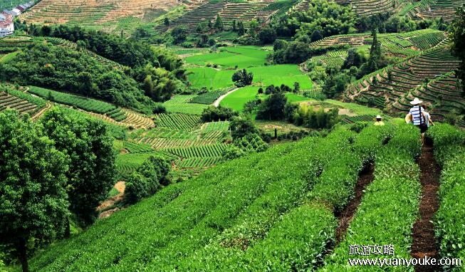 杭州旅游攻略必去景点推荐，4大景点最值得一游(西湖景色最美)