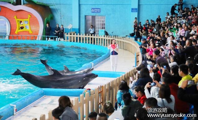 蓬莱海洋极地世界是亚洲第一大吗，是(面积高达5.28万平方米)