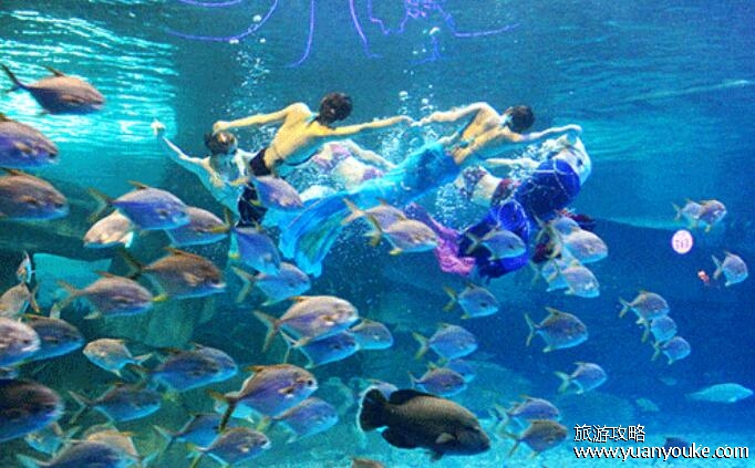 蓬莱海洋极地世界是亚洲第一大吗，是(面积高达5.28万平方米)