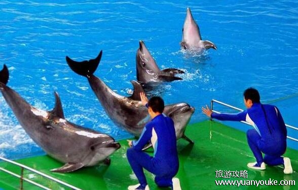 青岛海底世界好玩吗值得去吗，值得一游(水族馆规模非常大)