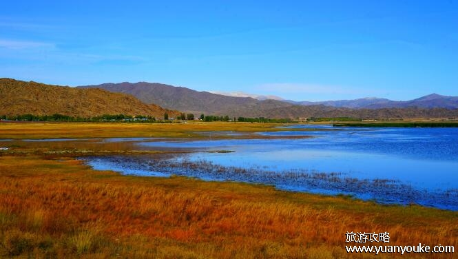 可可托海在哪里，在新疆北部阿勒泰地区(文化遗产非常丰富)