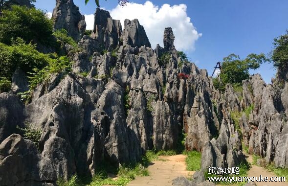 华蓥山好玩吗值得去吗，值得一游(自然景观得天独厚的景点)