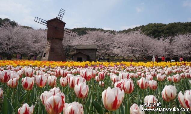 上方山森林公园上午几点开门，9点开门(自然环境优良的公元)
