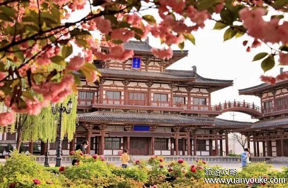 青龙寺在西安哪里，在西安雁塔区(地理位置很好交通非常便利)