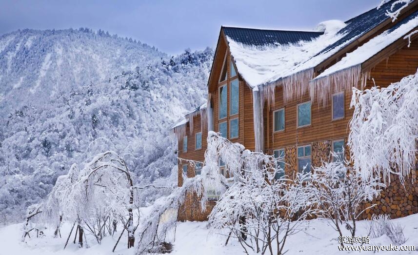 西岭雪山旅游攻略介绍，11月到3月最适合旅游(风景最好的时段)