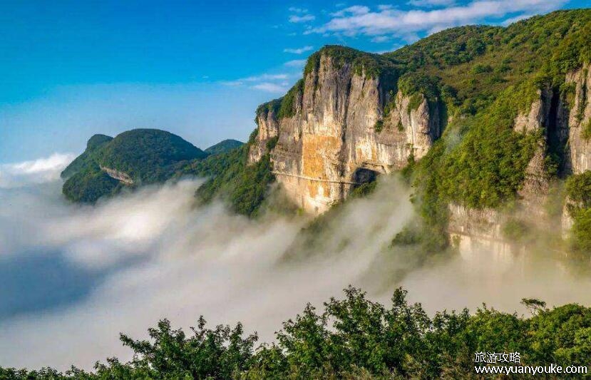 南川金佛山海拔多少米高，2238米(一年四季景色都非常美)