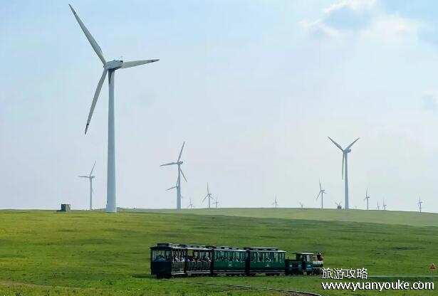 辉腾锡勒草原在哪里，在内蒙的乌兰察布市(草原娱乐项目众多)