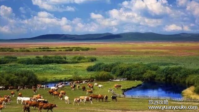 乌拉盖草原在内蒙古什么地方，在锡林郭勒盟(广袤壮美的草原)