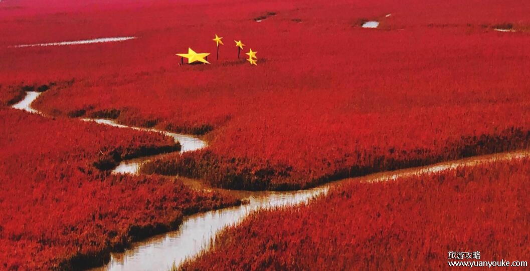 红海滩最佳观赏时间是什么时候，9到11月最美(景区也不拥挤)
