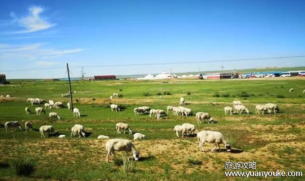 希拉穆仁草原在内蒙古哪里，在达尔罕茂明安联合旗(草原风景美)