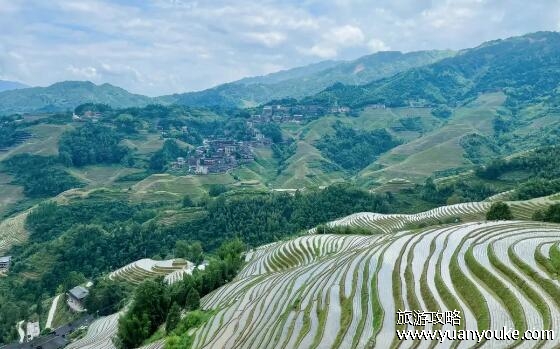 龙脊梯田在桂林哪里，在龙胜各族自治县(桂林最大的梯田群)
