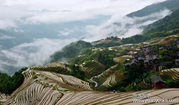 龙脊梯田在桂林哪里，在龙胜各族自治县(桂林最大的梯田群)
