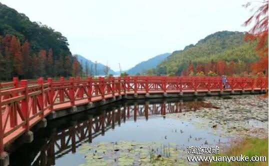 石门国家森林公园好玩吗，风景优美的公园(适合家人一起去玩)