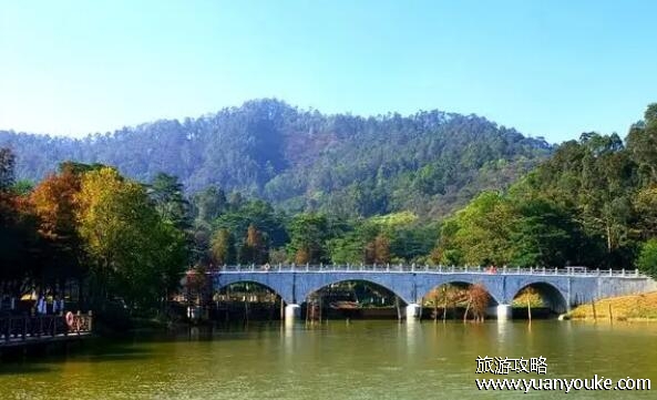 大夫山森林公园要门票吗，无需购票(生态环境优美的森林公园)