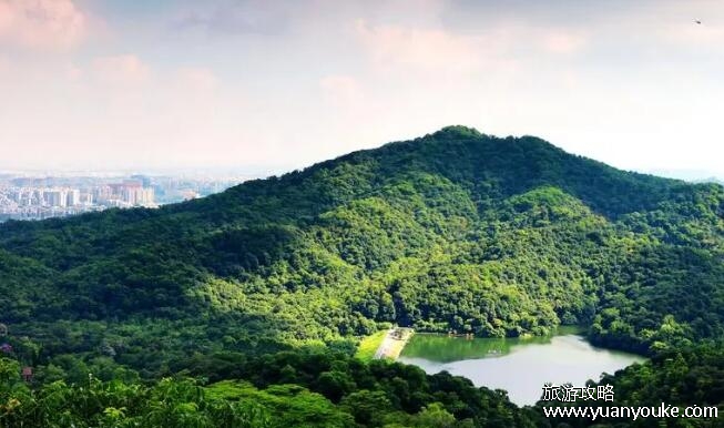 白云山海拔多少米，382米(广州市著名的风景区之一)