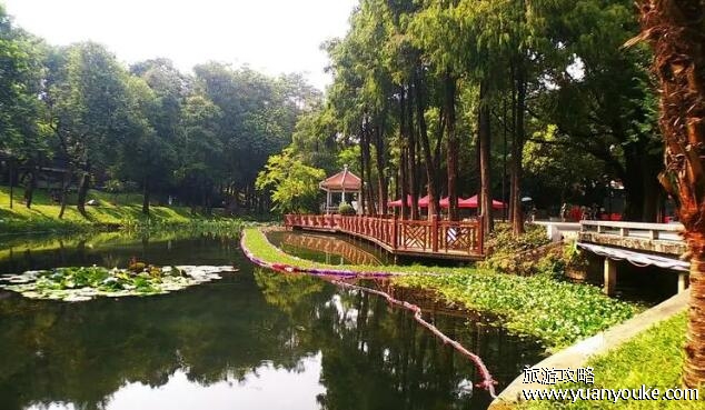 越秀公园在哪个区，广东省广州市越秀区(拥有特色美景和古迹)
