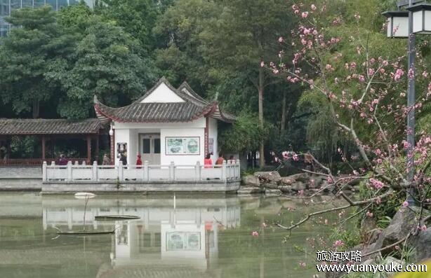 茶亭公园在哪里，在福建省福州市台江区(清新自然的公园)