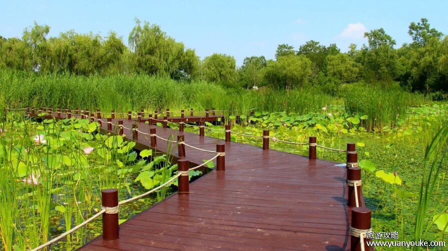 翠湖湿地公园地址在哪里，在北京市海淀区上庄镇(动物种类丰富)