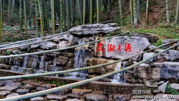 宜兴竹海风景区在哪里，江苏无锡的宜兴市(有十多个品种的竹子)